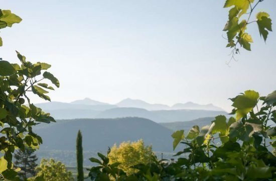 Penegalhof - Caldaro sulla Strada del Vino / Alto Adige