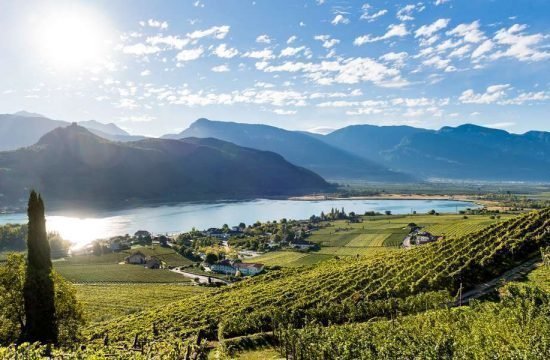 Penegalhof - Caldaro sulla Strada del Vino / Alto Adige