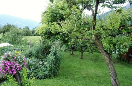 Penegalhof - Caldaro sulla Strada del Vino / Alto Adige