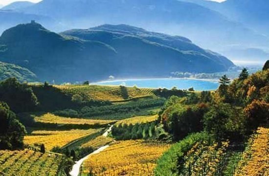 Penegalhof - Caldaro sulla Strada del Vino / Alto Adige