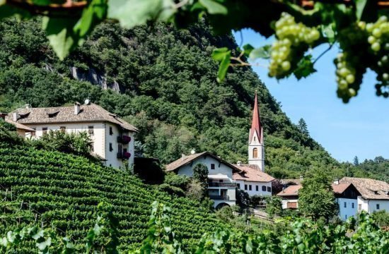 Penegalhof - Caldaro sulla Strada del Vino / Alto Adige