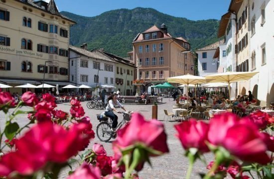 Penegalhof - Caldaro sulla Strada del Vino / Alto Adige