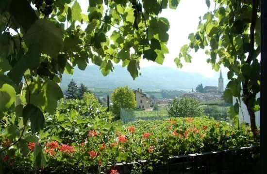 Vacanze al maso vinicolo e frutticolo